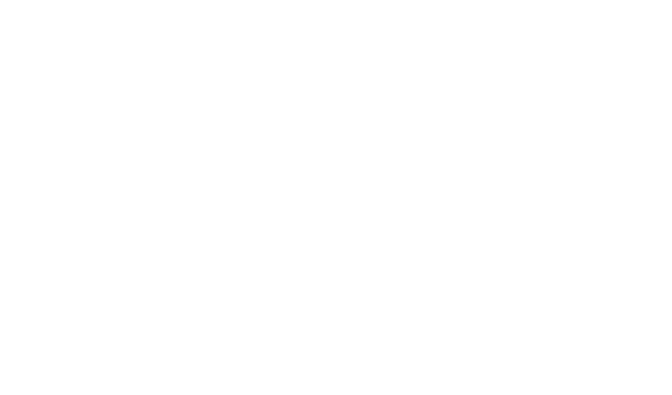 Accelerating and Deepening our social impact 
