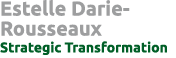 Estelle Darie-Rousseaux Strategic Transformation