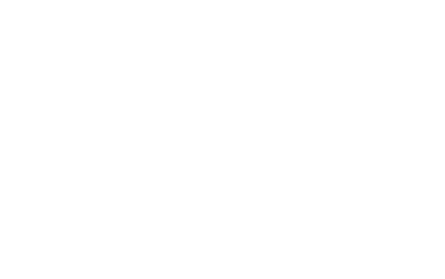 Country focus