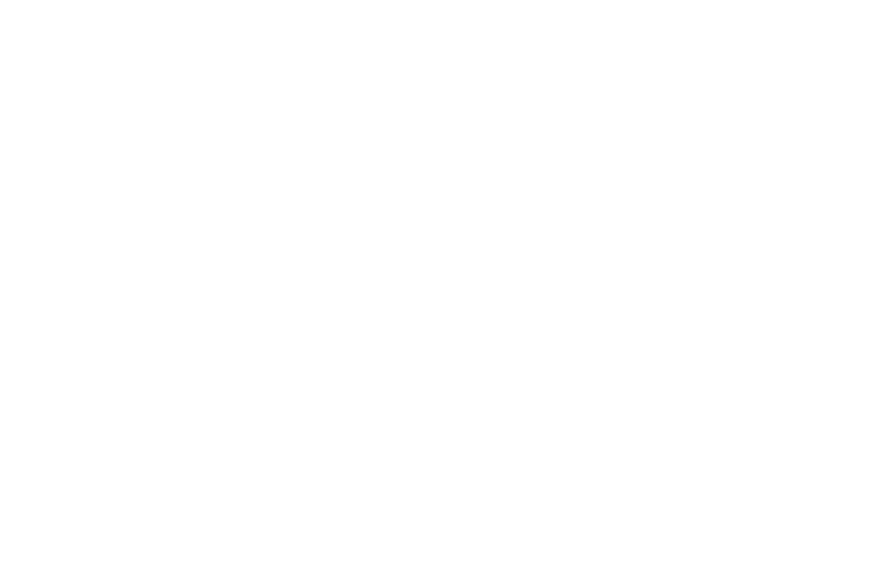 Performance Indicators 