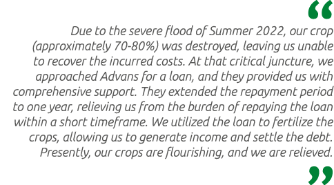  Due to the severe flood of Summer 2022, our crop (approximately 70-80%) was destroyed, leaving us unable to recover ...